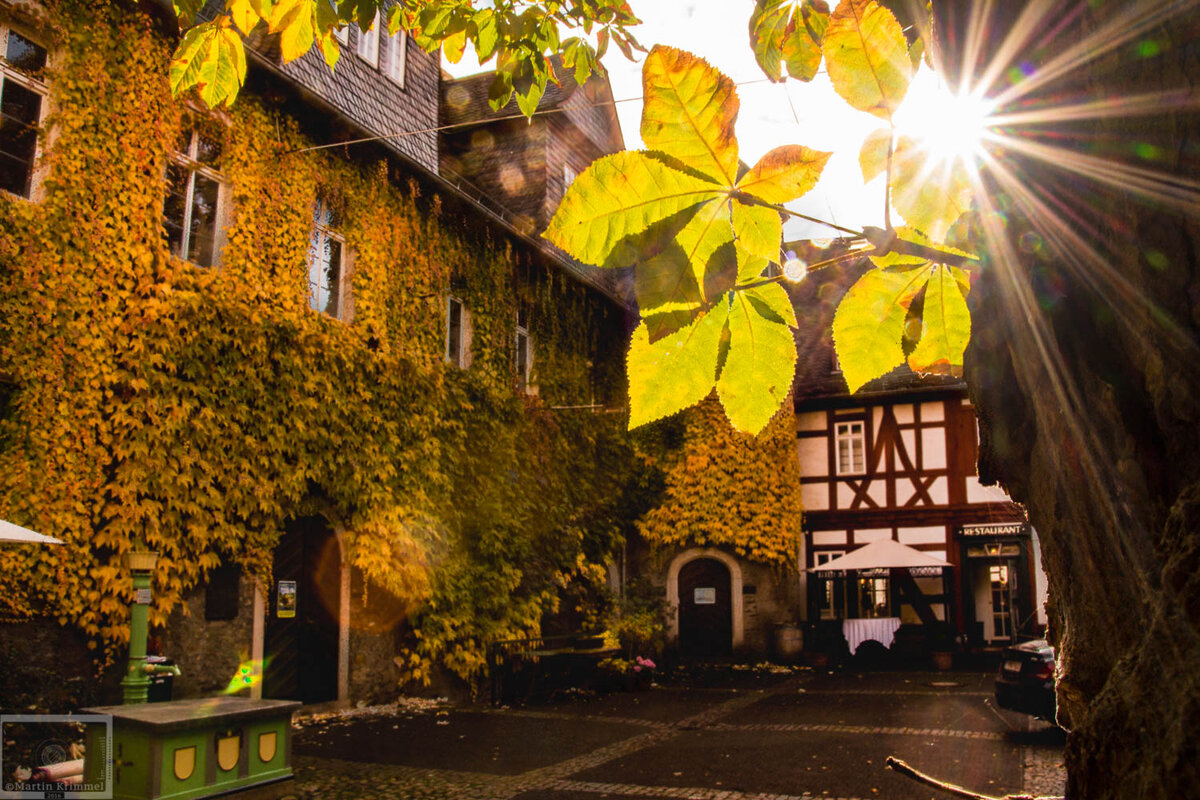 [Translate to Englisch:] Blätter vor der hohen Schule Herborn